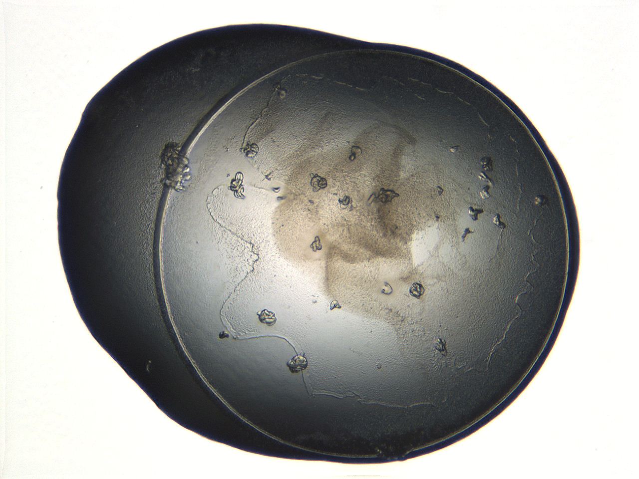 04ug_E12_ImagerDefaults_9.jpg