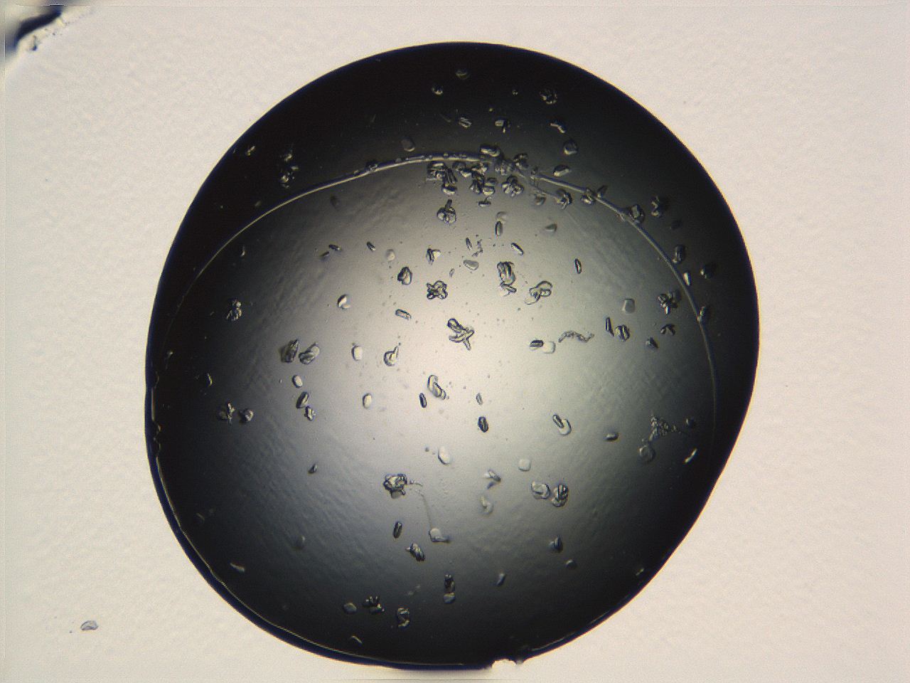 04ug_F3_ImagerDefaults_9.jpg