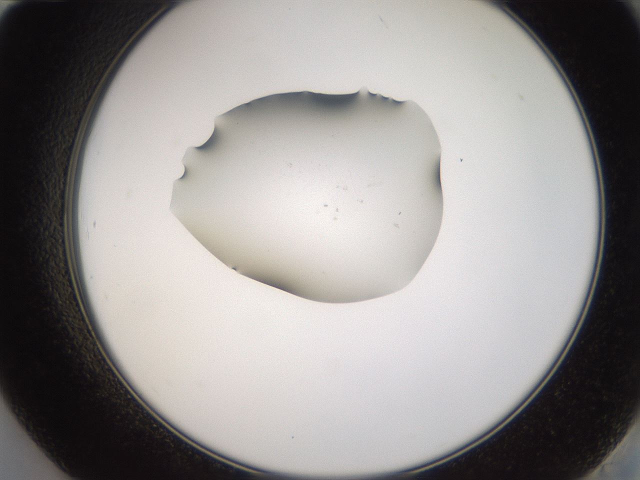 folderID252_plateID3252_batchID18362_wellNum84_profileID1_d2_r285354_ef.jpg