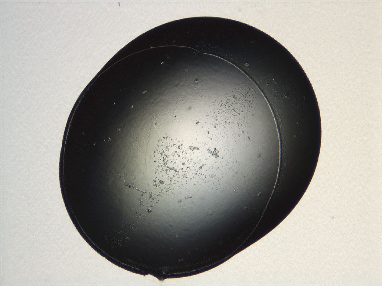 04ug_G4_ImagerDefaults_8.jpg