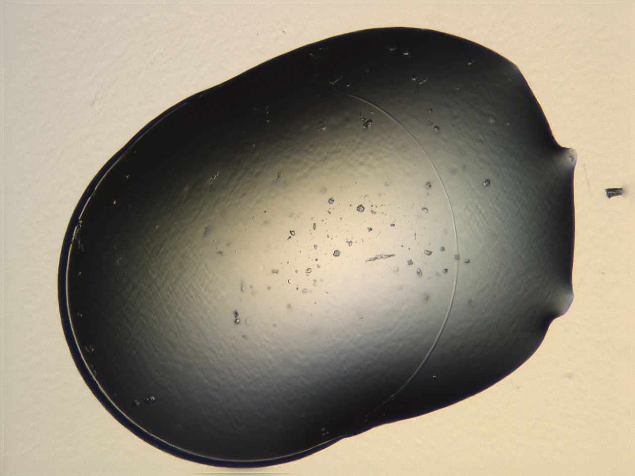 04ug_G2_ImagerDefaults_8.jpg