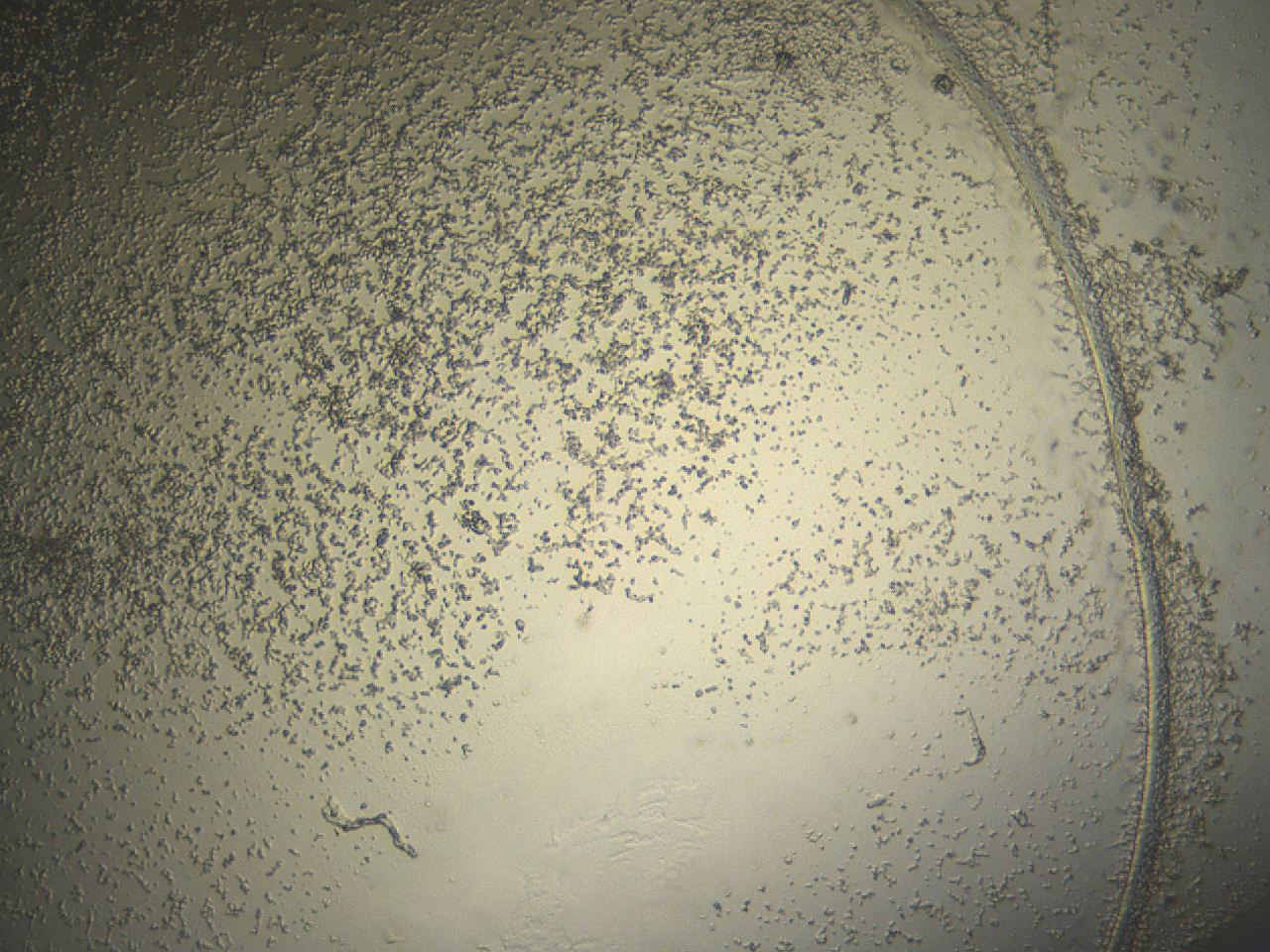 04ug_G6_ImagerDefaults_3.jpg