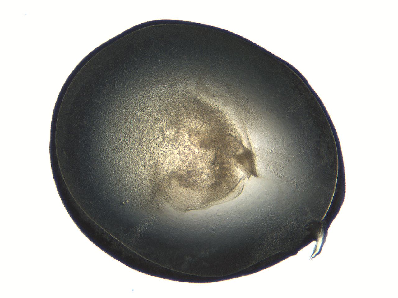04ug_G10_ImagerDefaults_3.jpg