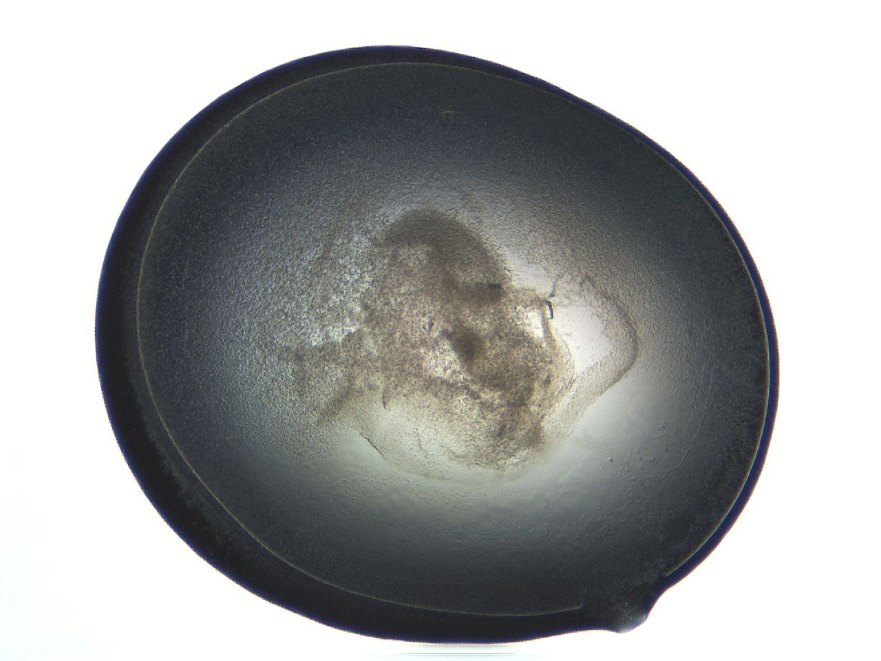 04ug_G11_ImagerDefaults_3.jpg