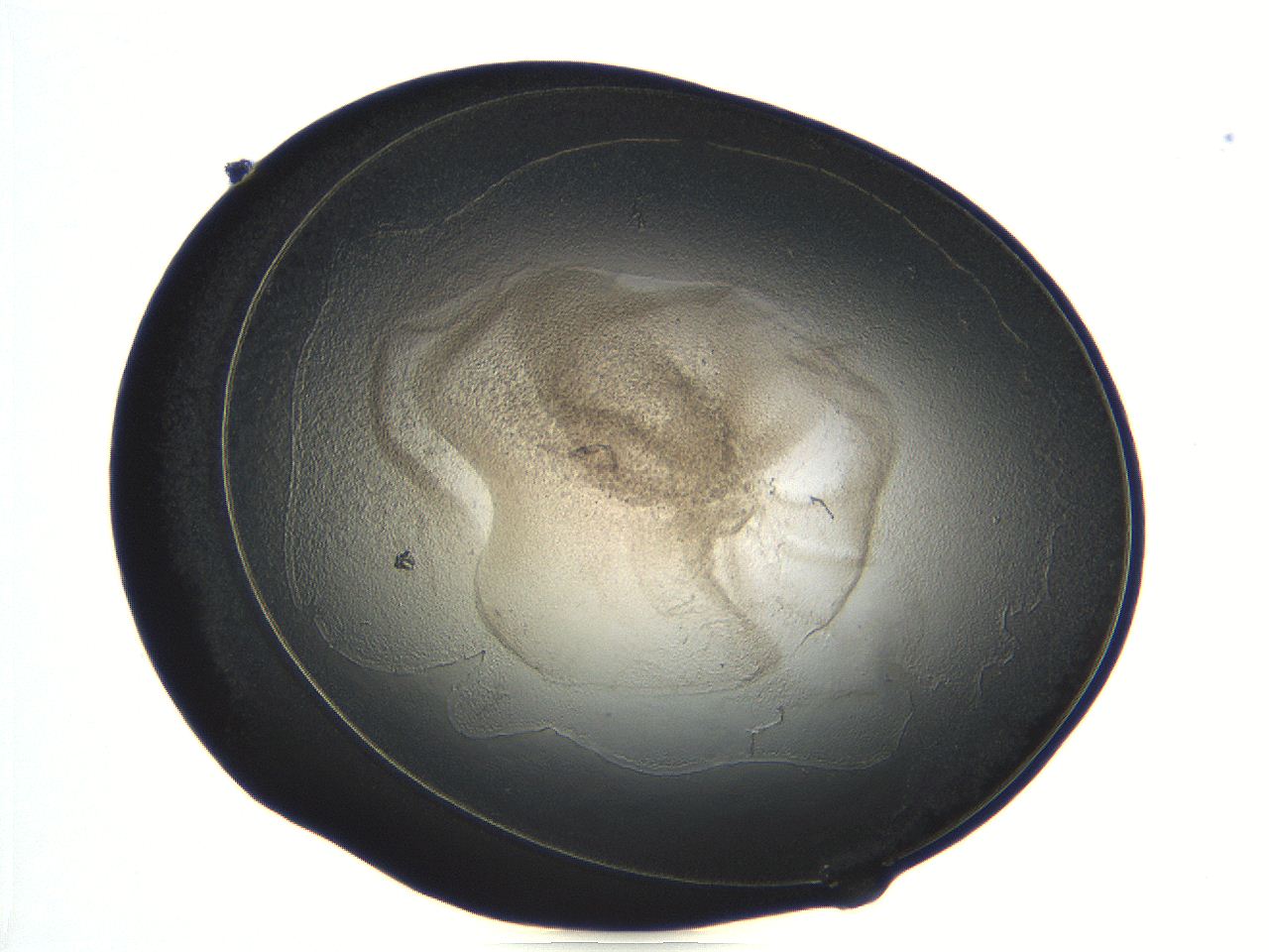04ug_G12_ImagerDefaults_3.jpg