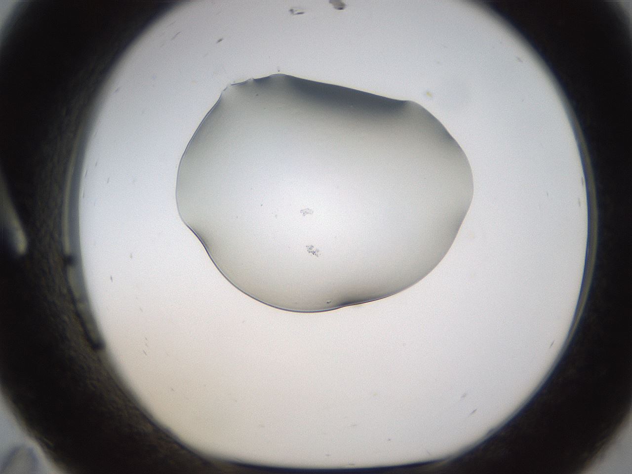 folderID253_plateID1253_batchID3738_wellNum11_profileID1_d1_r72568_ef.jpg