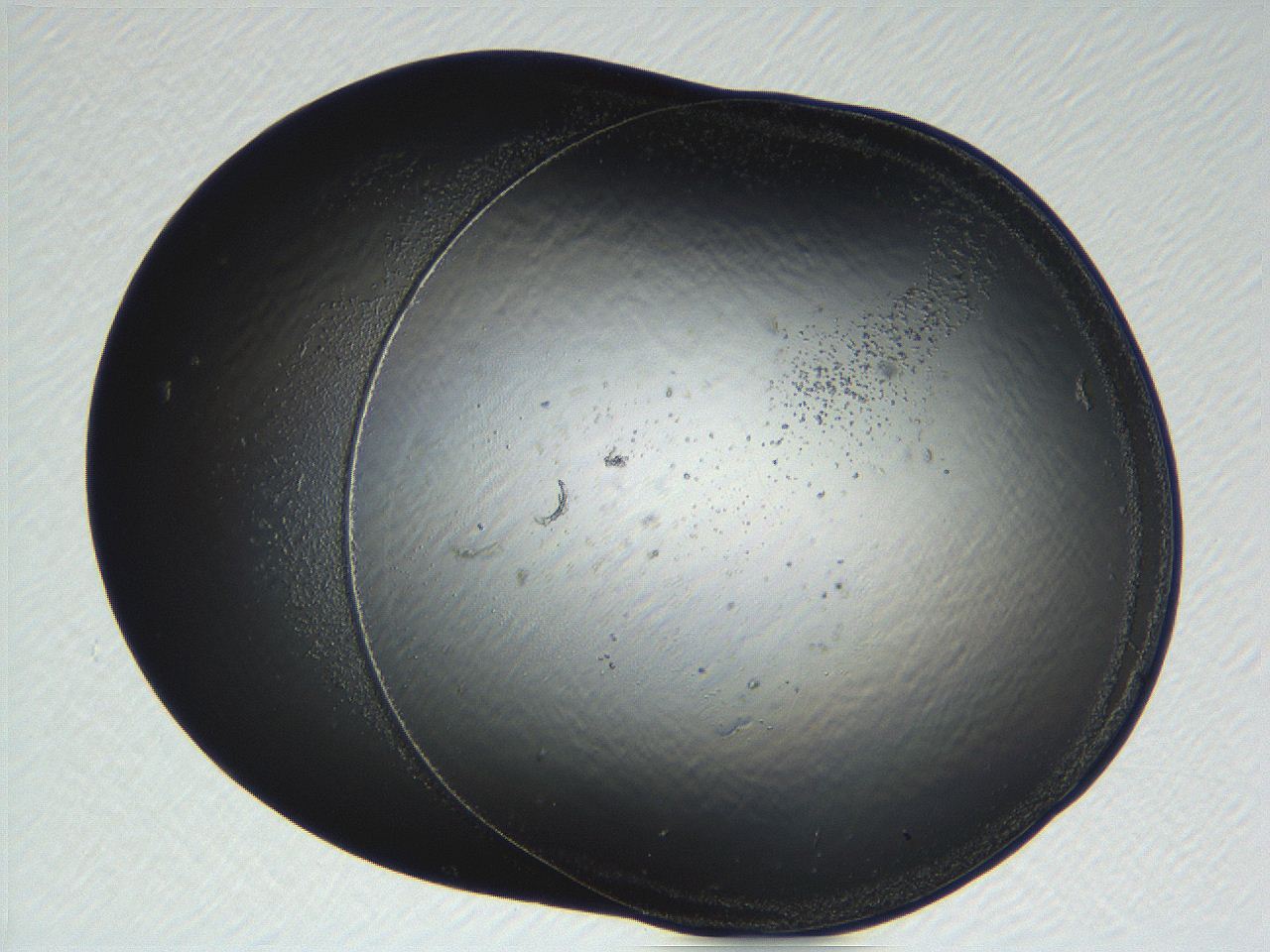 04ug_H4_ImagerDefaults_0.jpg