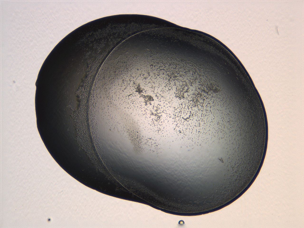 04ug_H6_ImagerDefaults_3.jpg