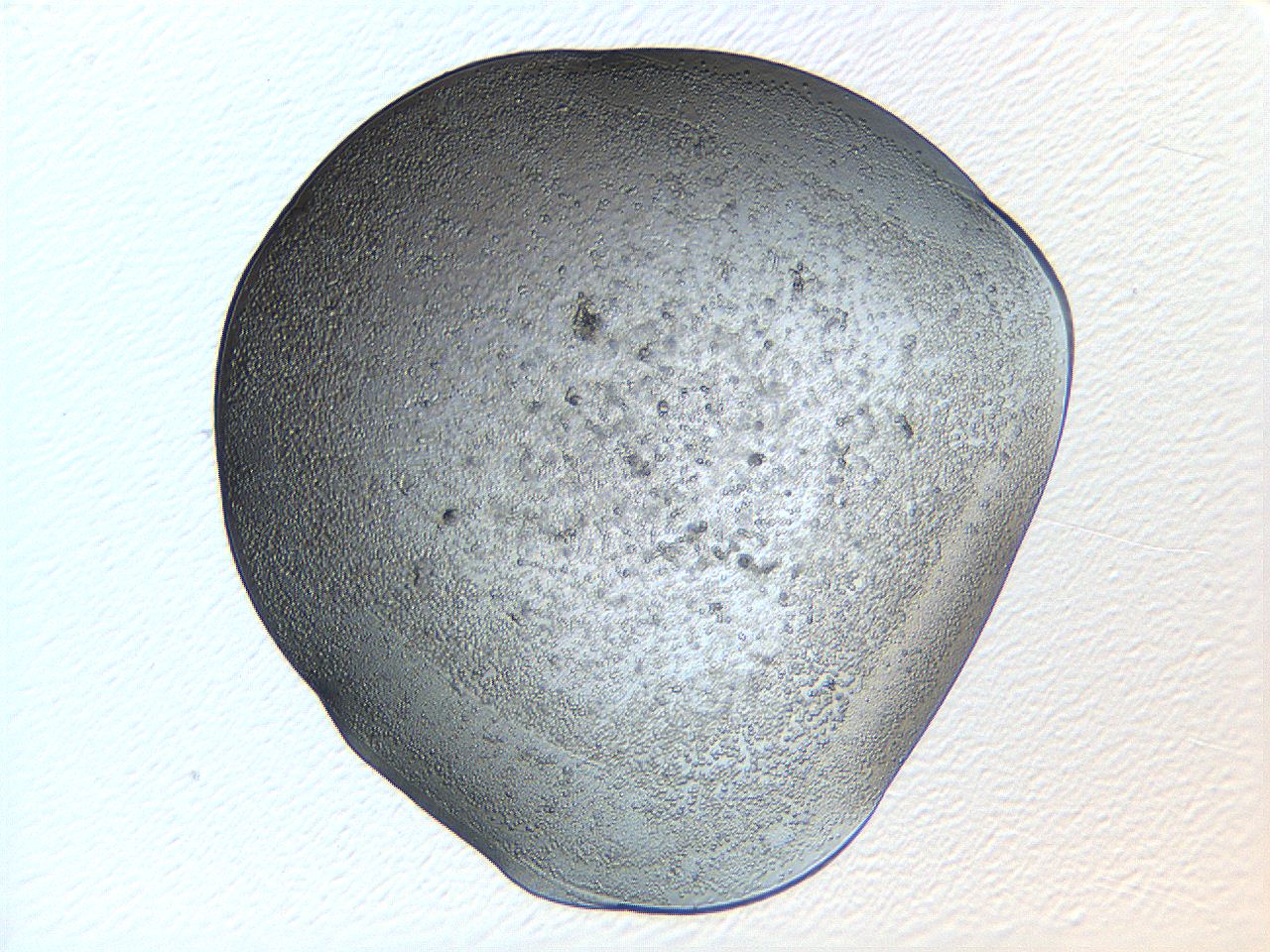04ug_H12_ImagerDefaults_3.jpg