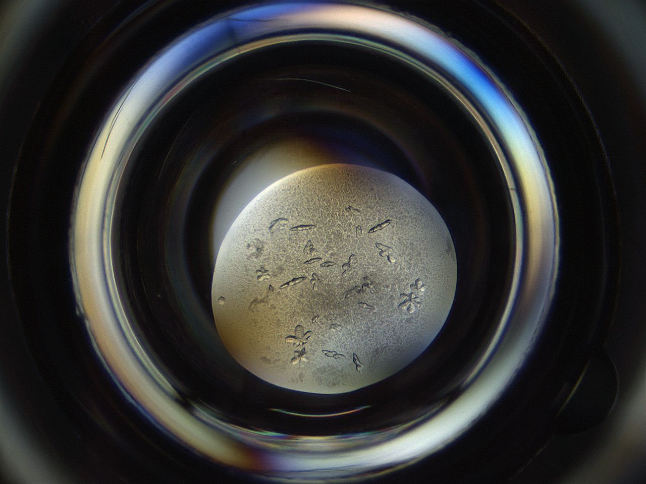 04uh_A4_ImagerDefaults_9.jpg