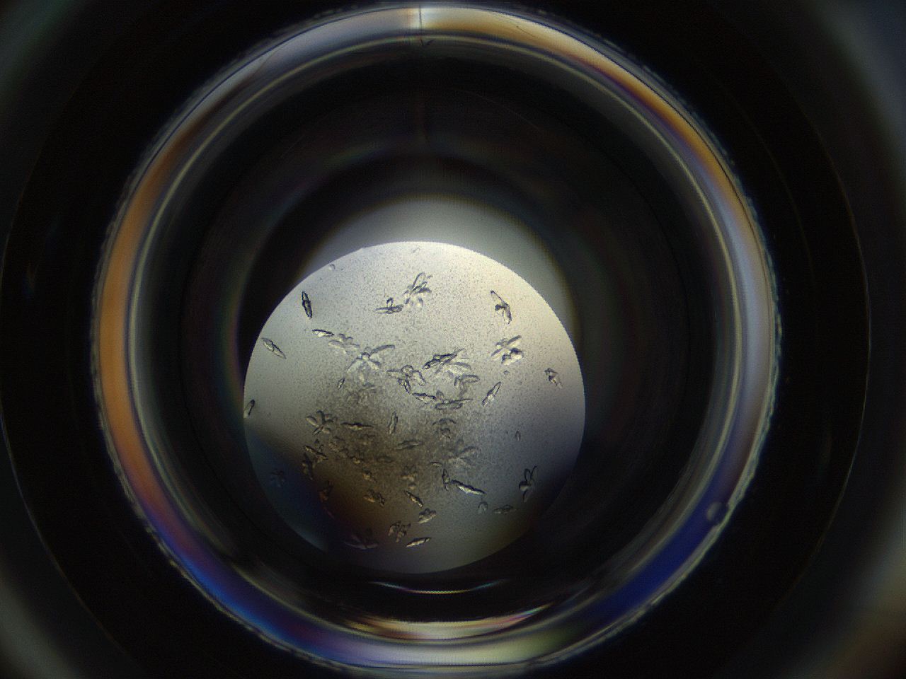 04uh_C6_ImagerDefaults_9.jpg