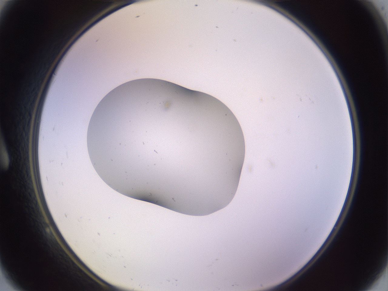 folderID253_plateID3253_batchID19238_wellNum9_profileID1_d1_r285971_ef.jpg