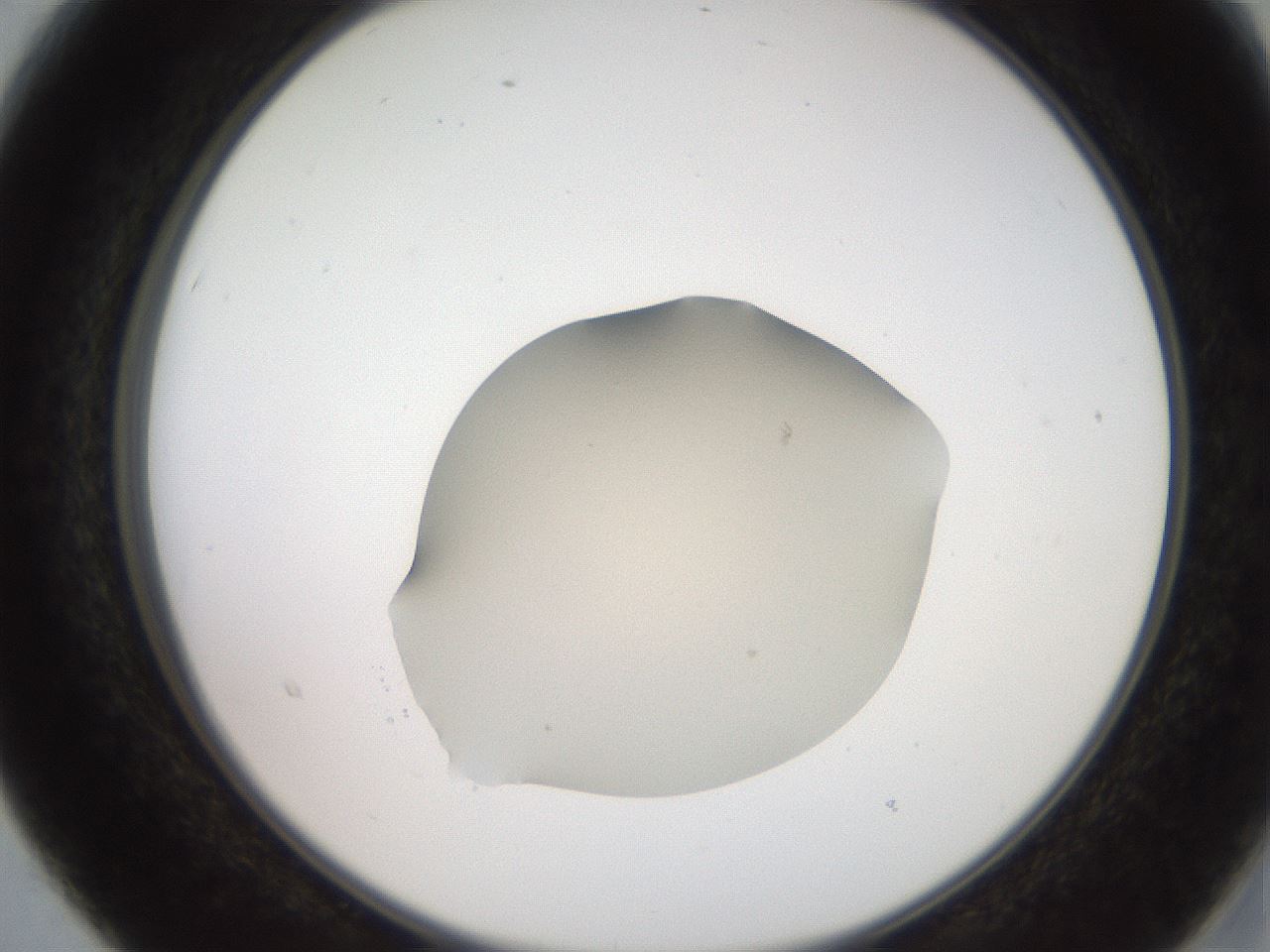 folderID257_plateID2257_batchID10213_wellNum15_profileID1_d2_r156639_ef.jpg