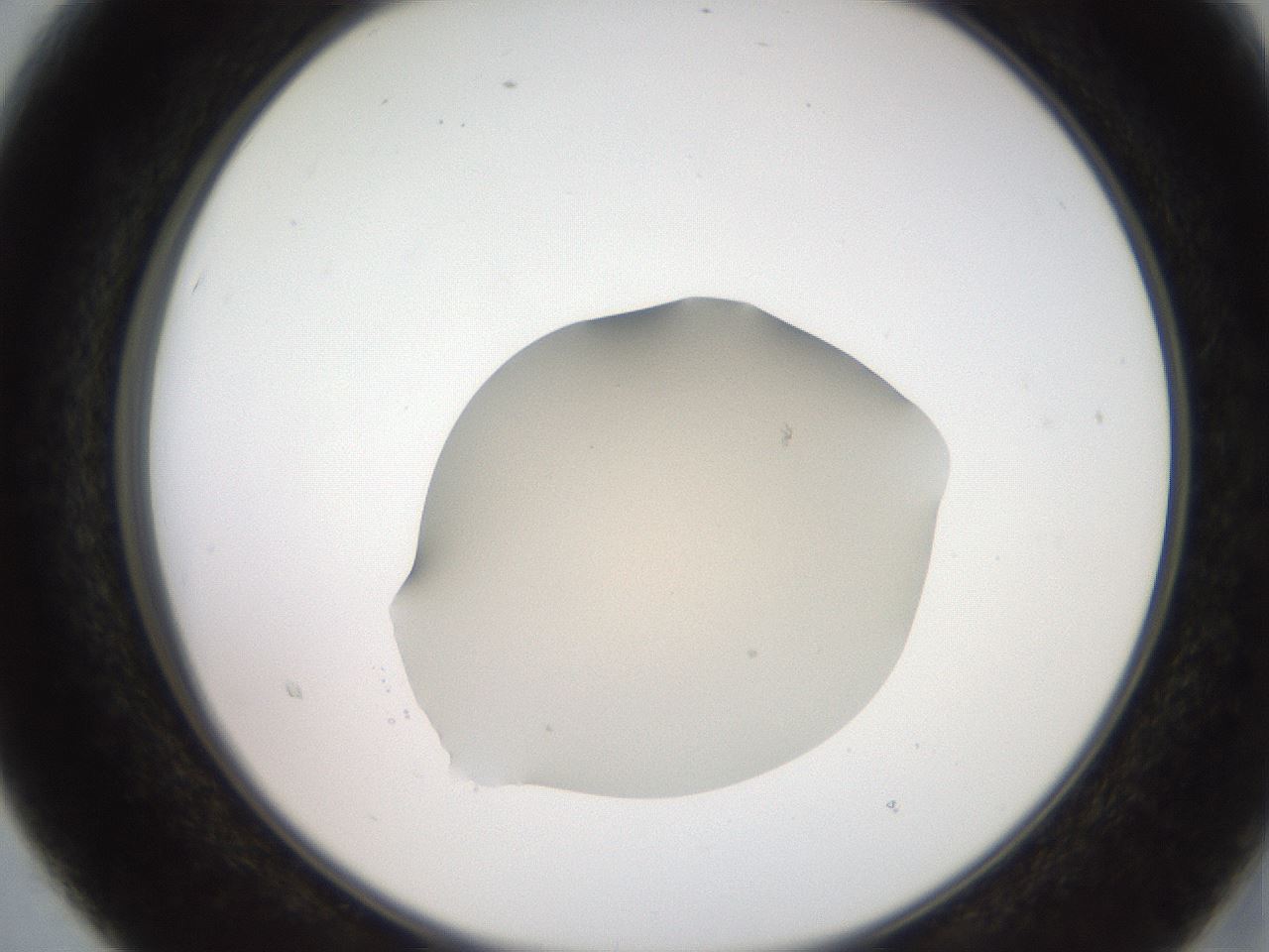 folderID257_plateID2257_batchID10535_wellNum15_profileID1_d2_r156639_ef.jpg