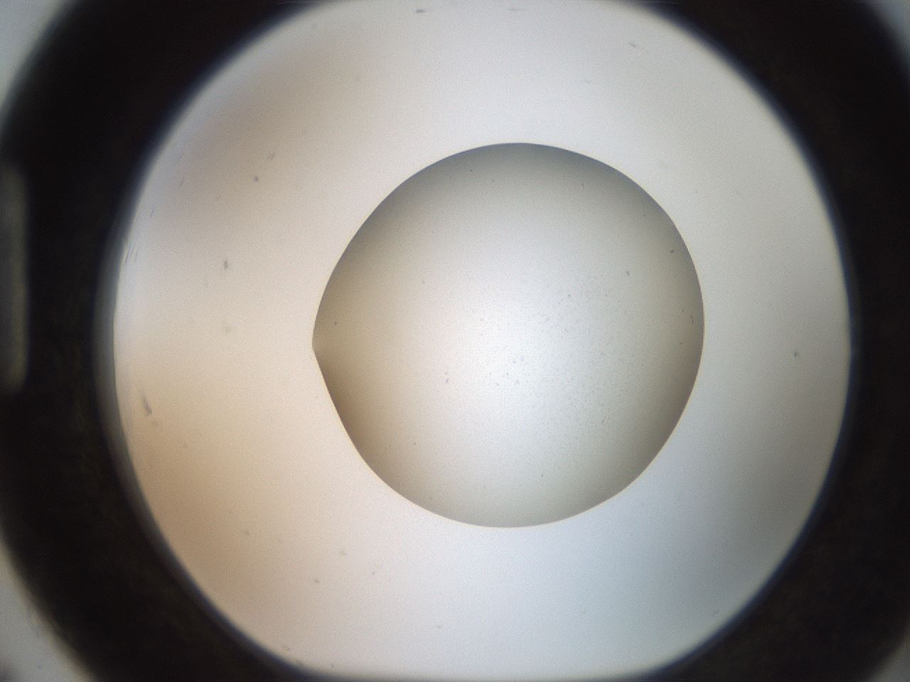 folderID257_plateID2257_batchID10915_wellNum91_profileID1_d1_r156790_ef.jpg