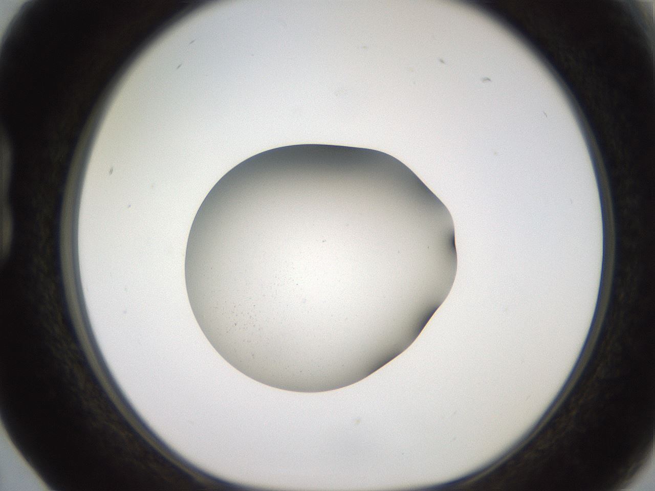 folderID258_plateID2258_batchID10916_wellNum17_profileID1_d1_r156834_ef.jpg