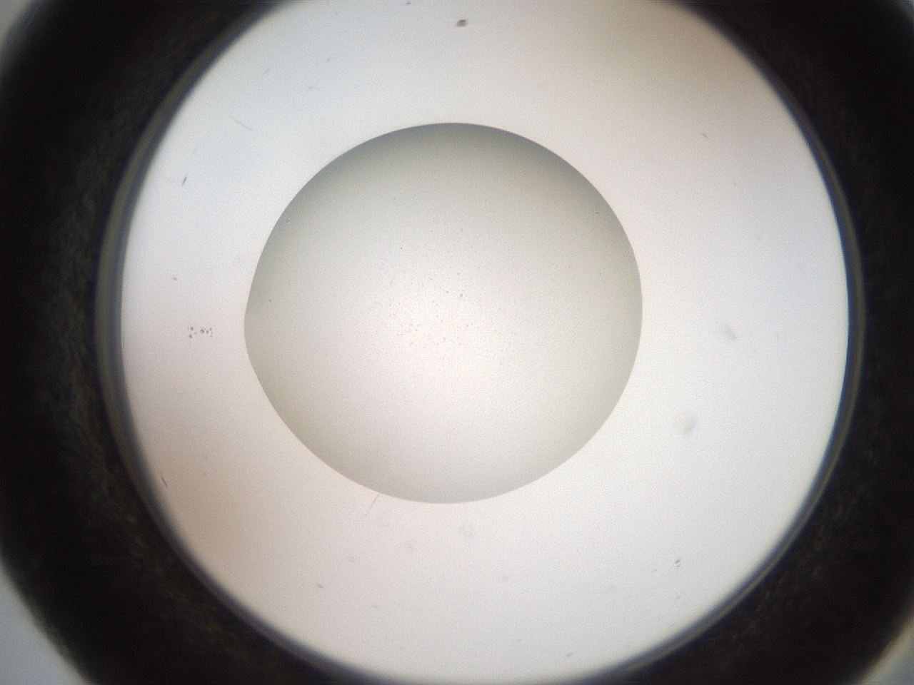 folderID258_plateID2258_batchID10916_wellNum56_profileID1_d2_r156913_ef.jpg