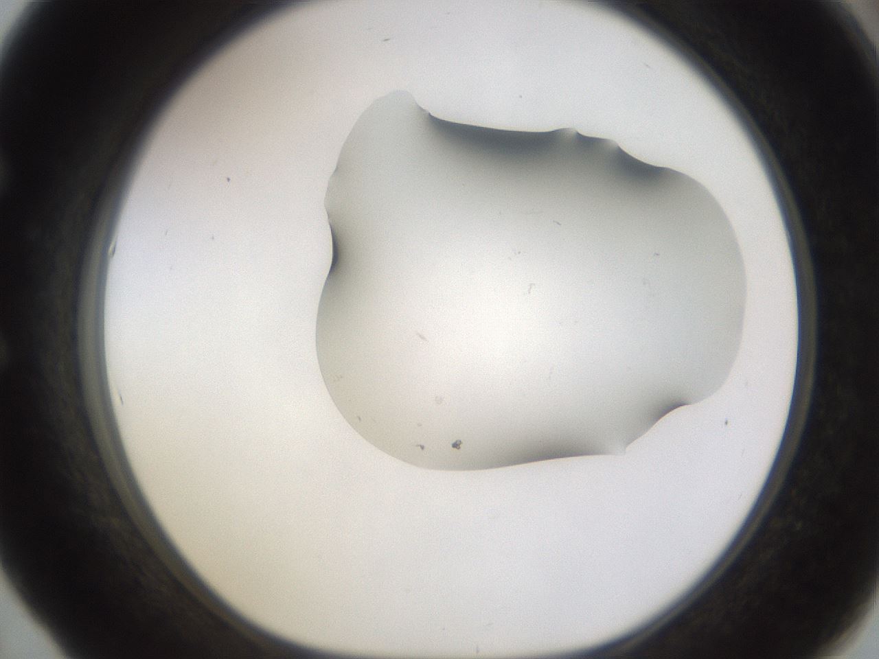 folderID259_plateID1259_batchID3790_wellNum53_profileID1_d1_r72812_ef.jpg