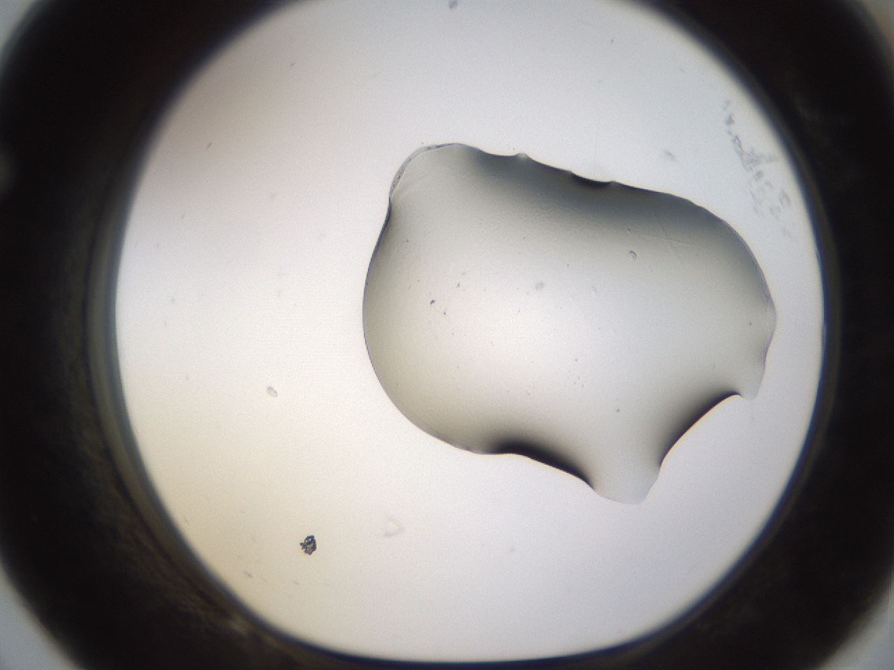 folderID259_plateID1259_batchID4339_wellNum68_profileID1_d1_r72827_ef.jpg