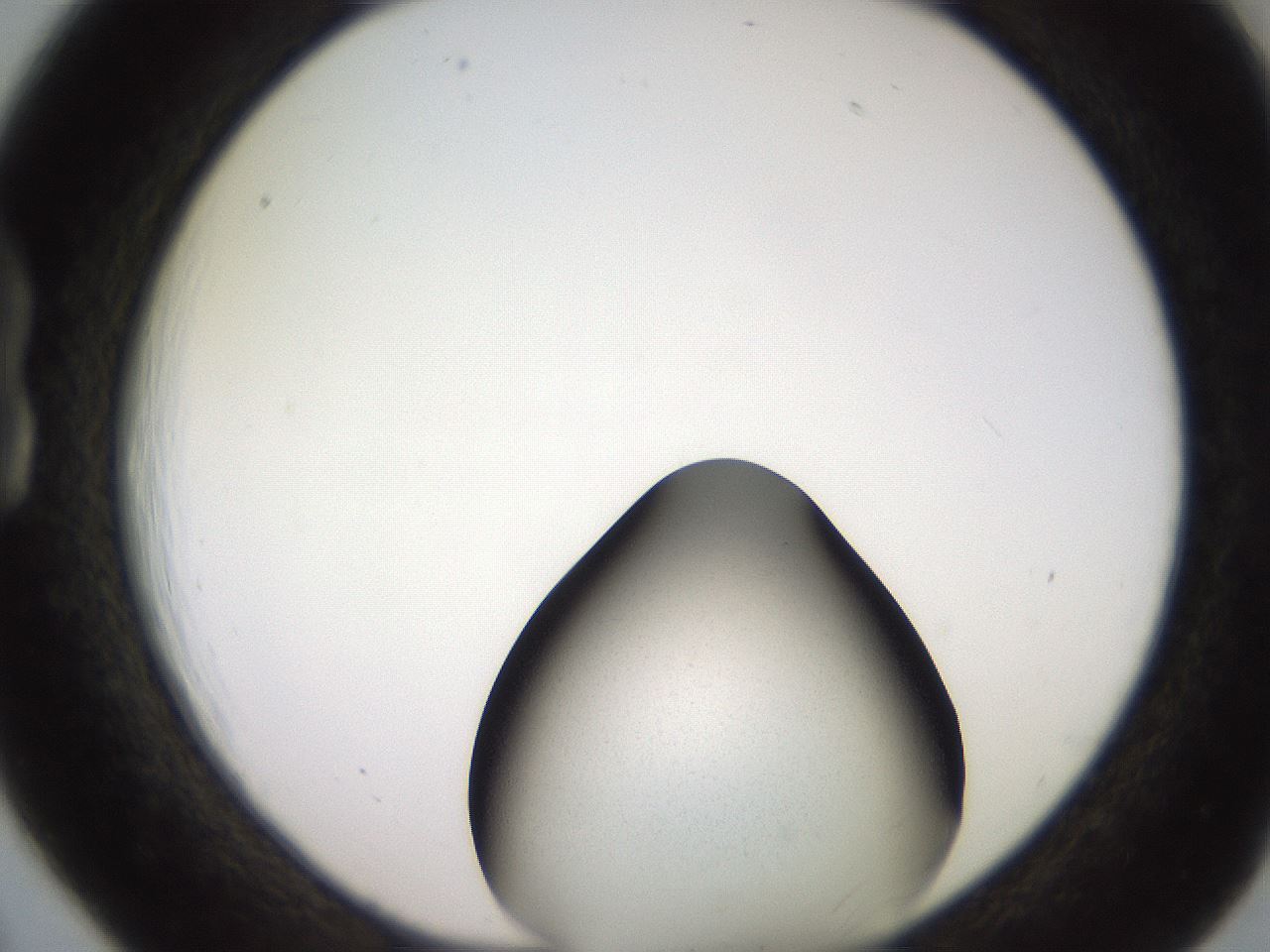 folderID259_plateID2259_batchID10193_wellNum18_profileID1_d1_r157220_ef.jpg