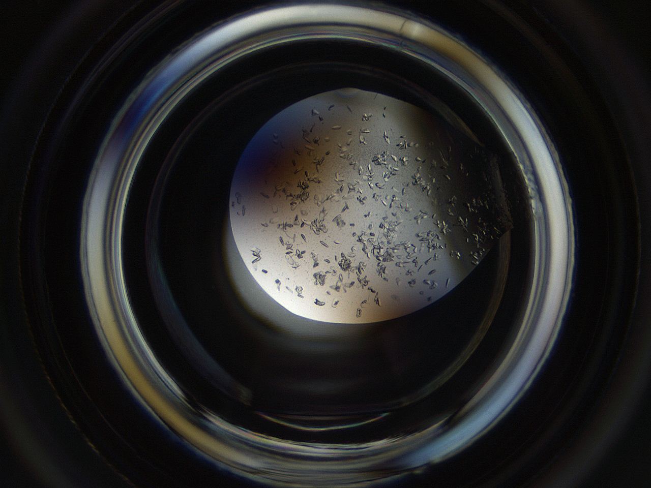 04um_A4_ImagerDefaults_9.jpg