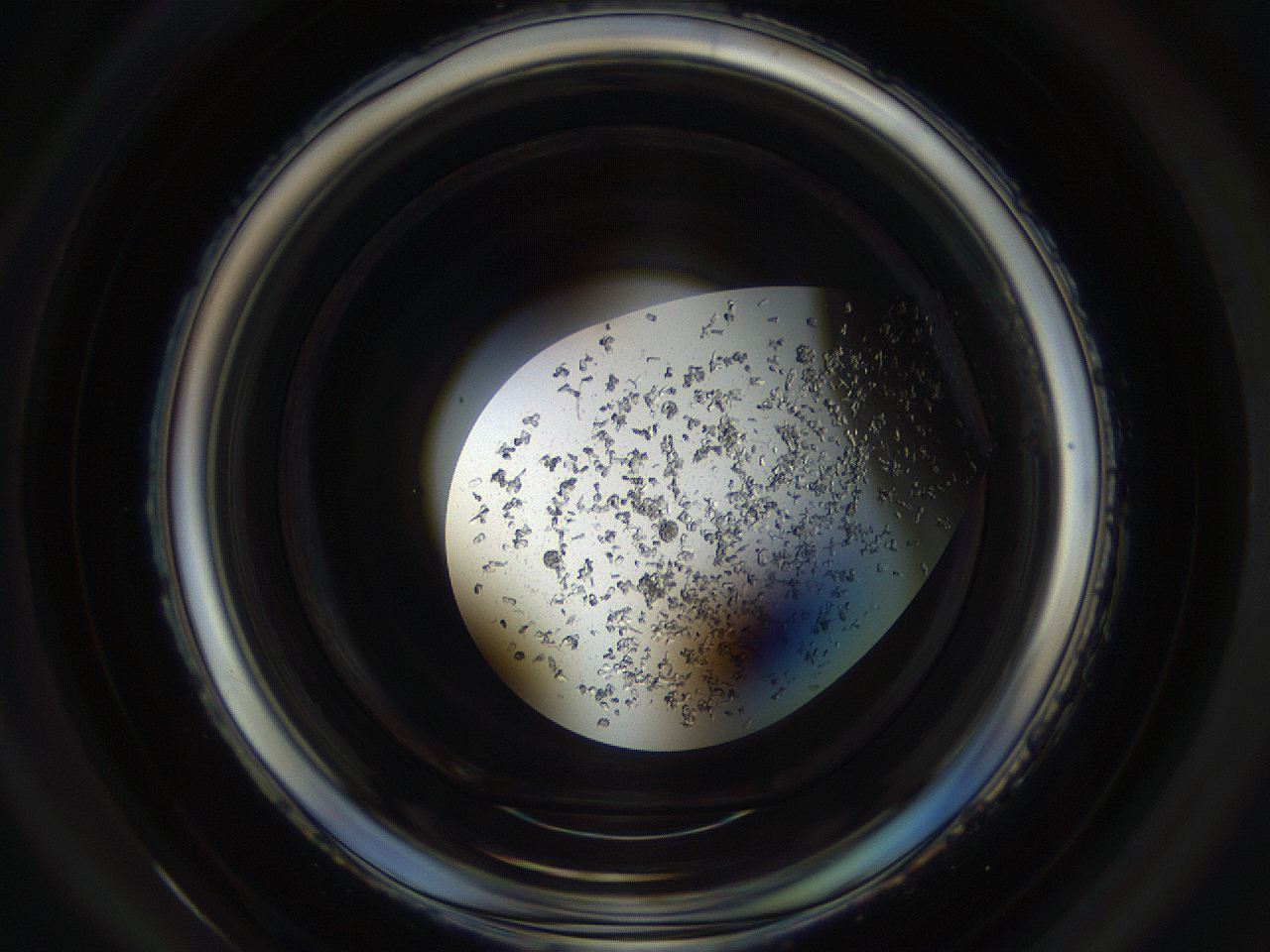 04um_C4_ImagerDefaults_9.jpg