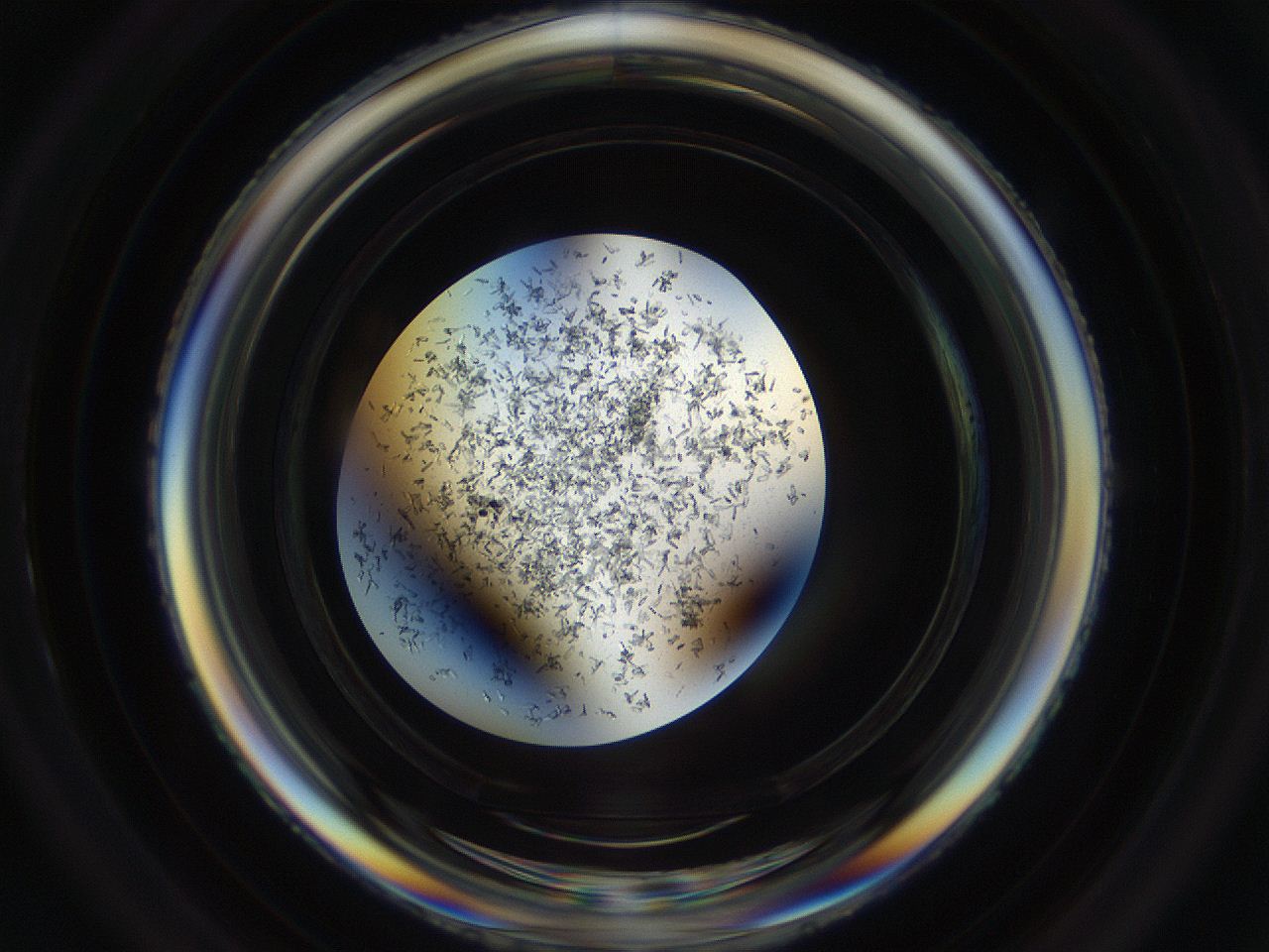 04um_D3_ImagerDefaults_9.jpg