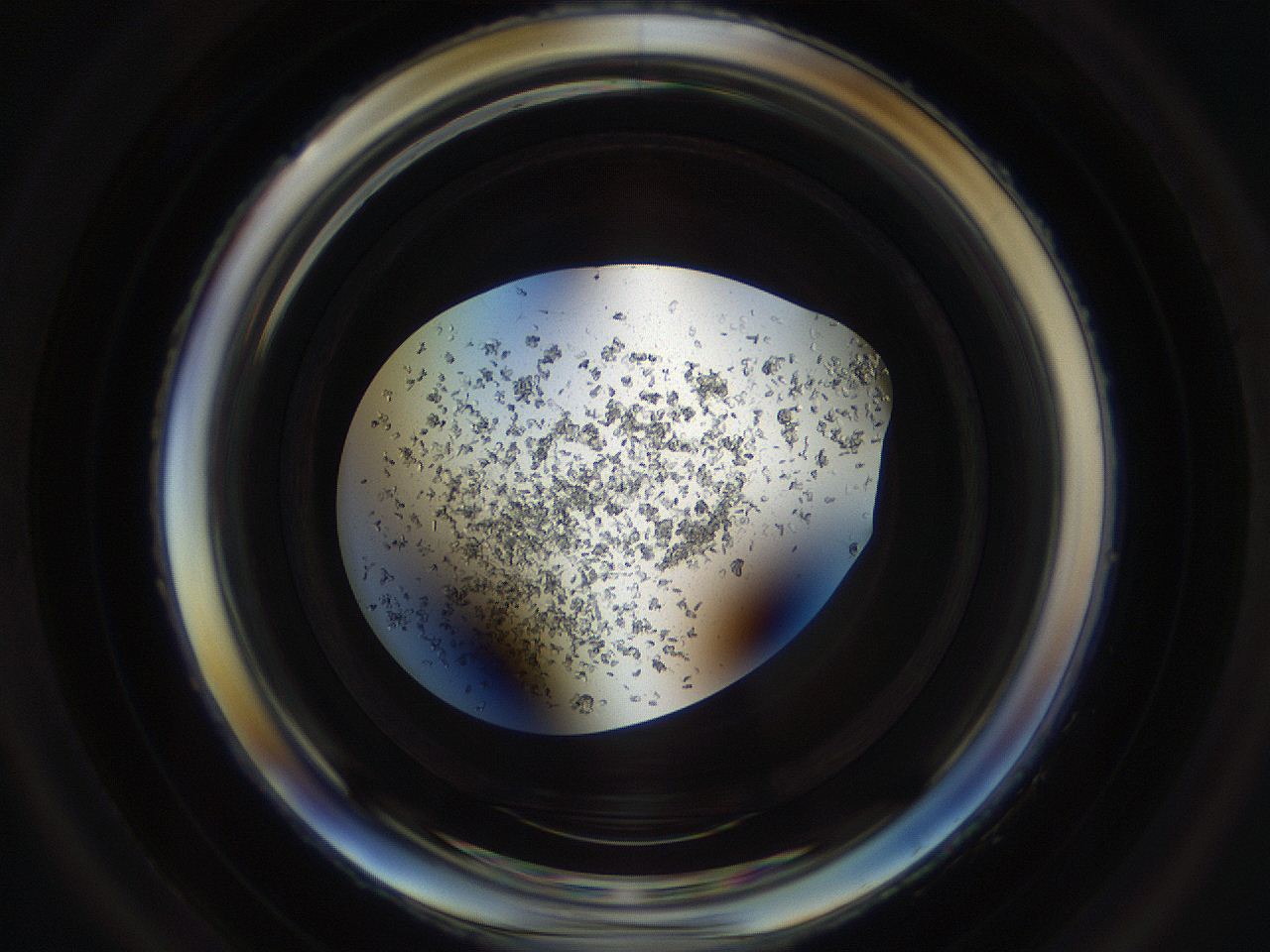 04um_D4_ImagerDefaults_9.jpg