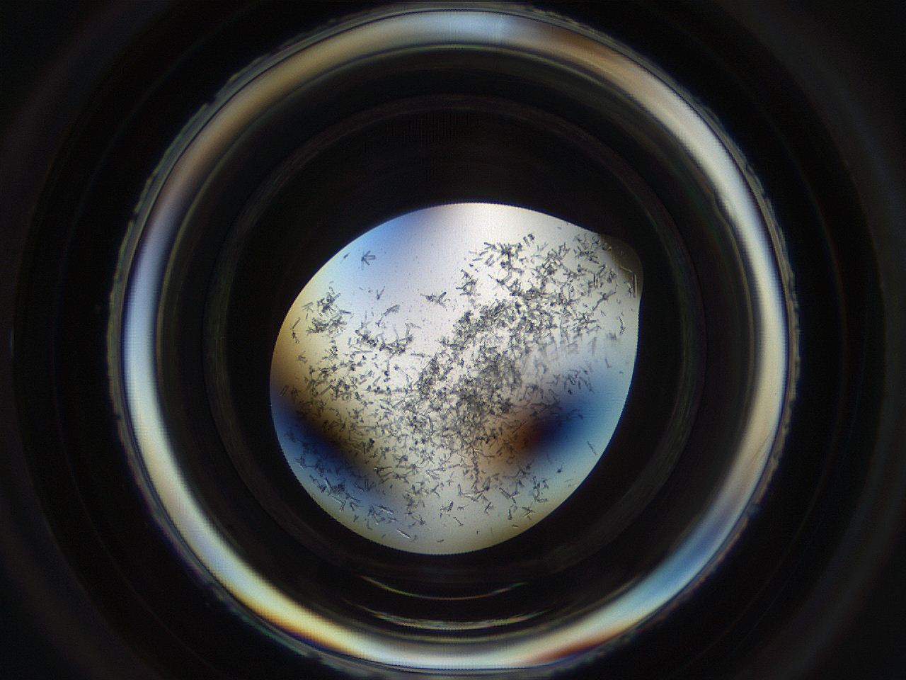 04um_D5_ImagerDefaults_9.jpg