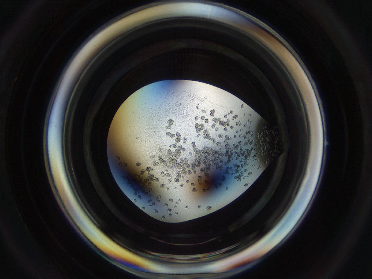04um_D6_ImagerDefaults_9.jpg