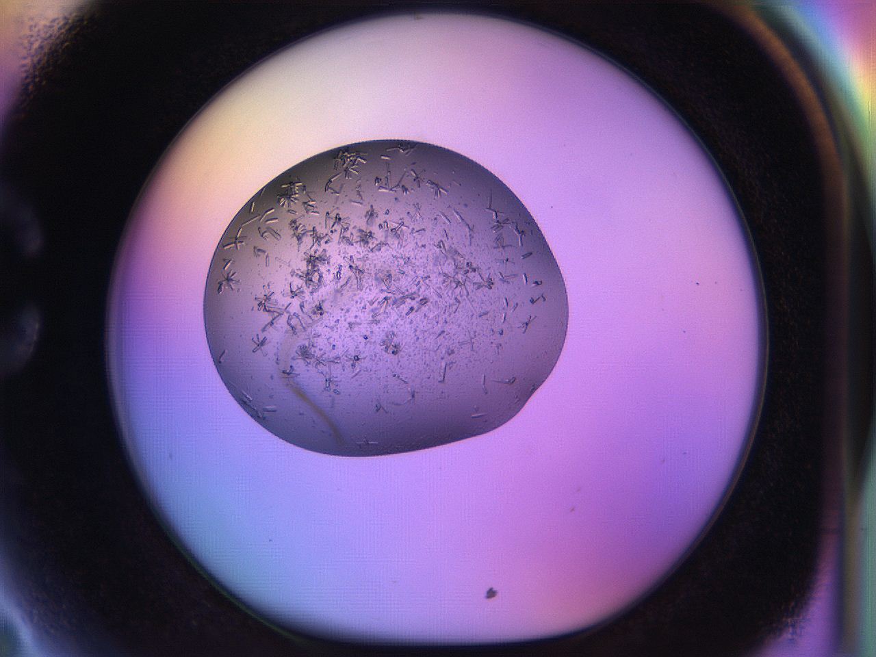 04uo_C3_ImagerDefaults_9.jpg