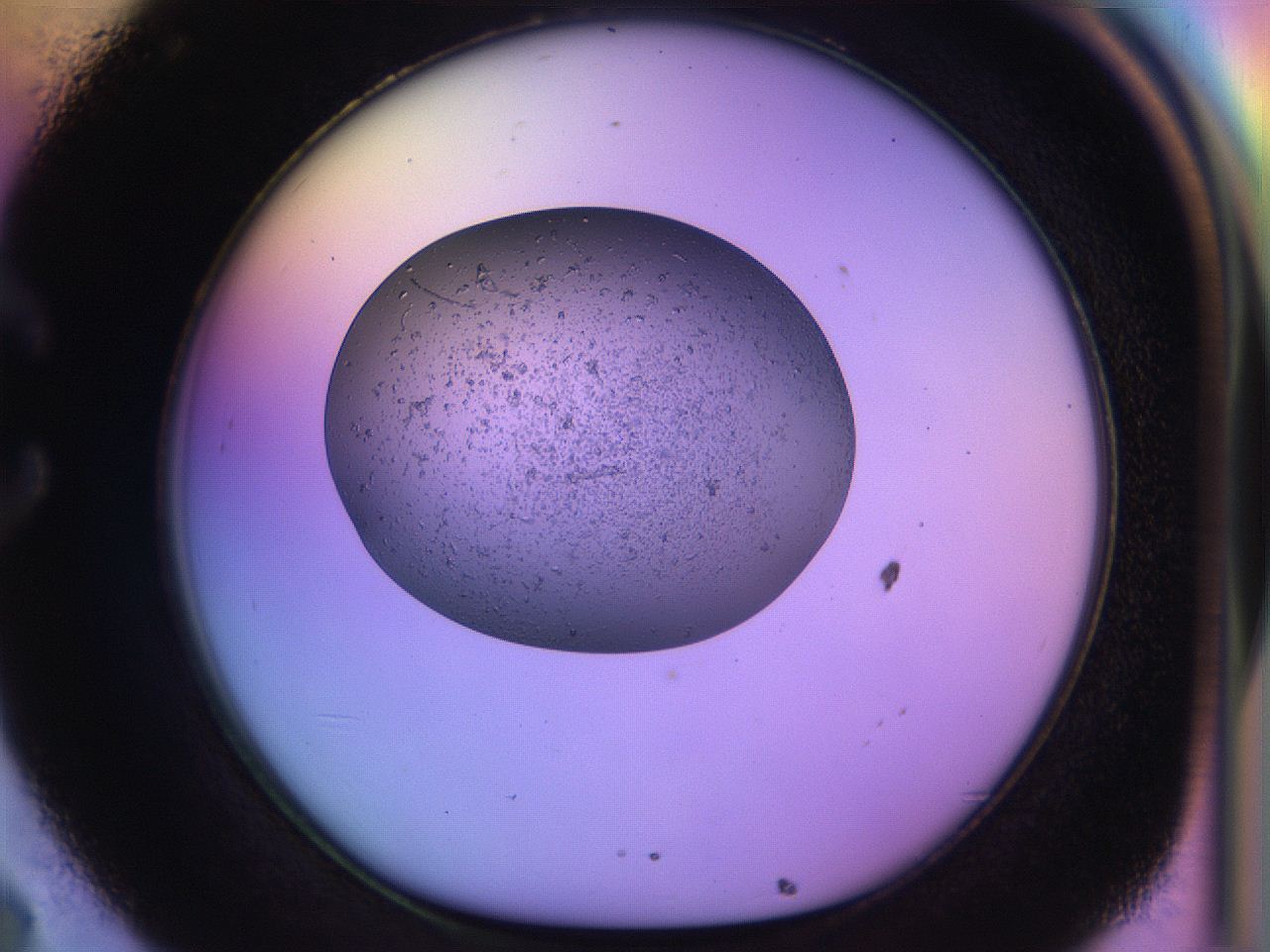 04uo_C8_ImagerDefaults_3.jpg