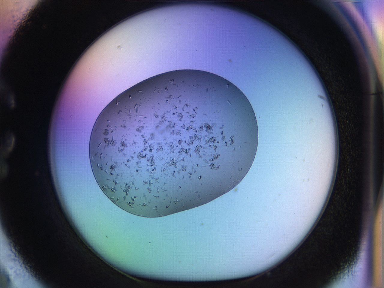 04uo_C9_ImagerDefaults_9.jpg