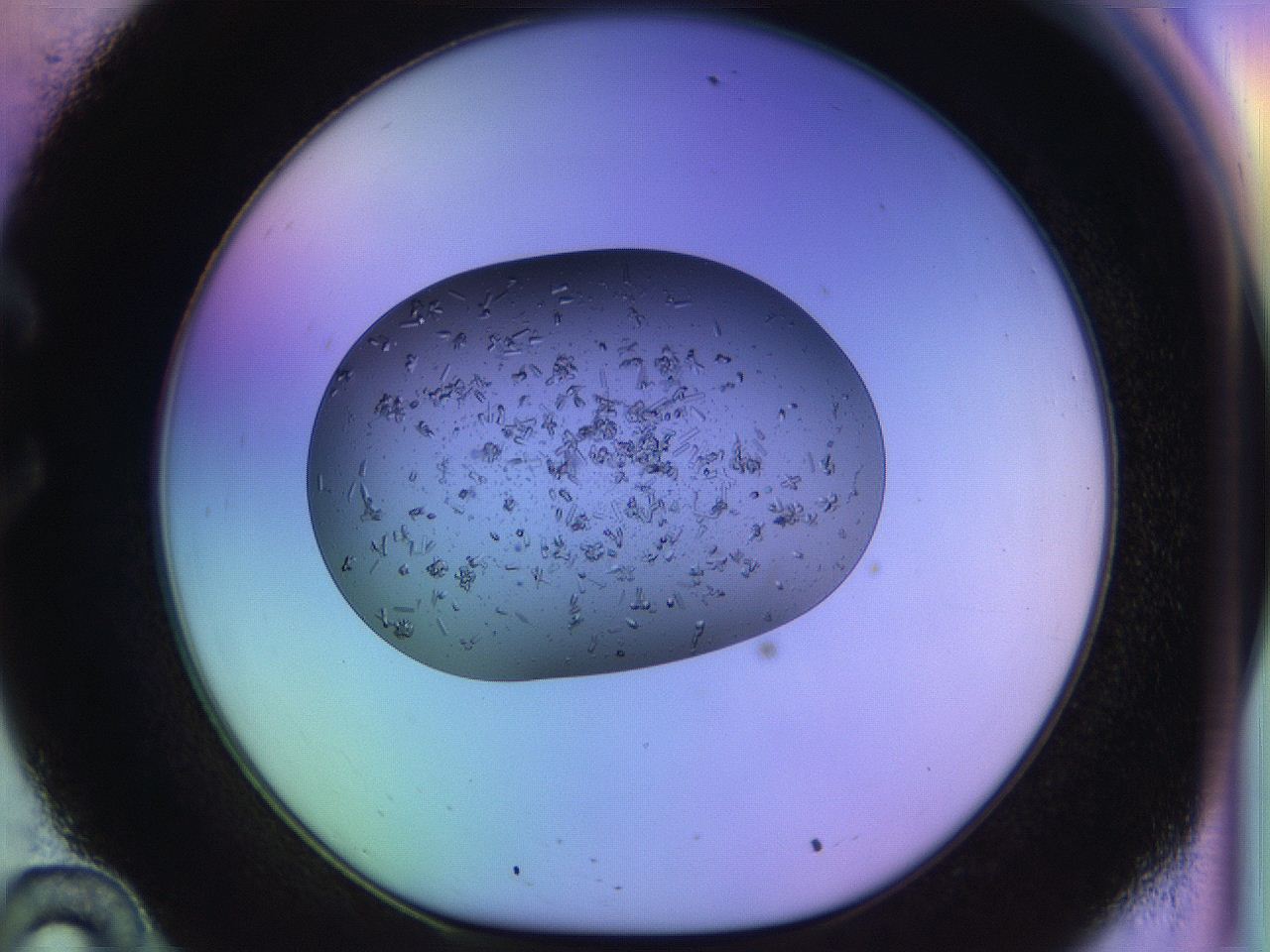 04uo_C10_ImagerDefaults_9.jpg