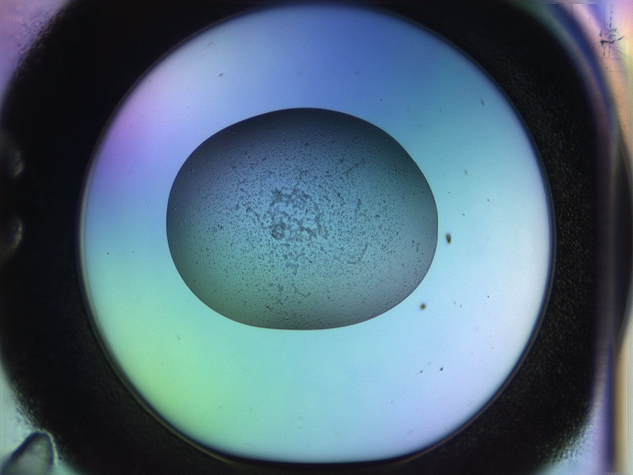 04uo_C11_ImagerDefaults_3.jpg