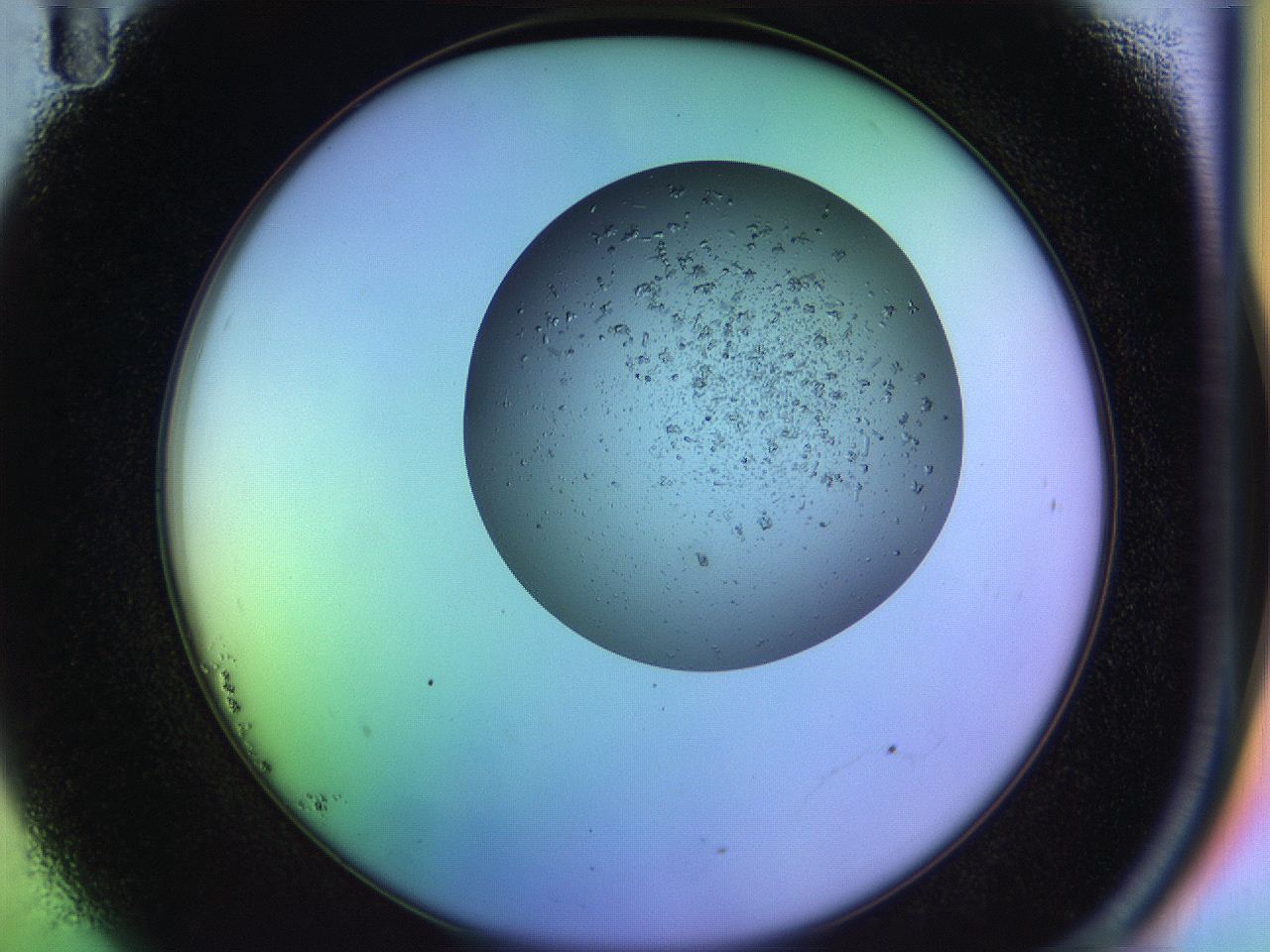 04uo_B11_ImagerDefaults_9.jpg