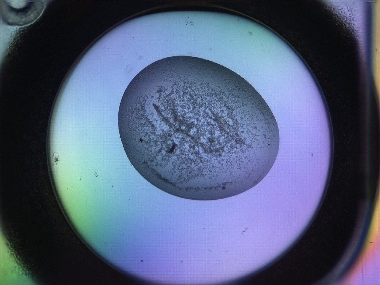 04uo_B10_ImagerDefaults_3.jpg
