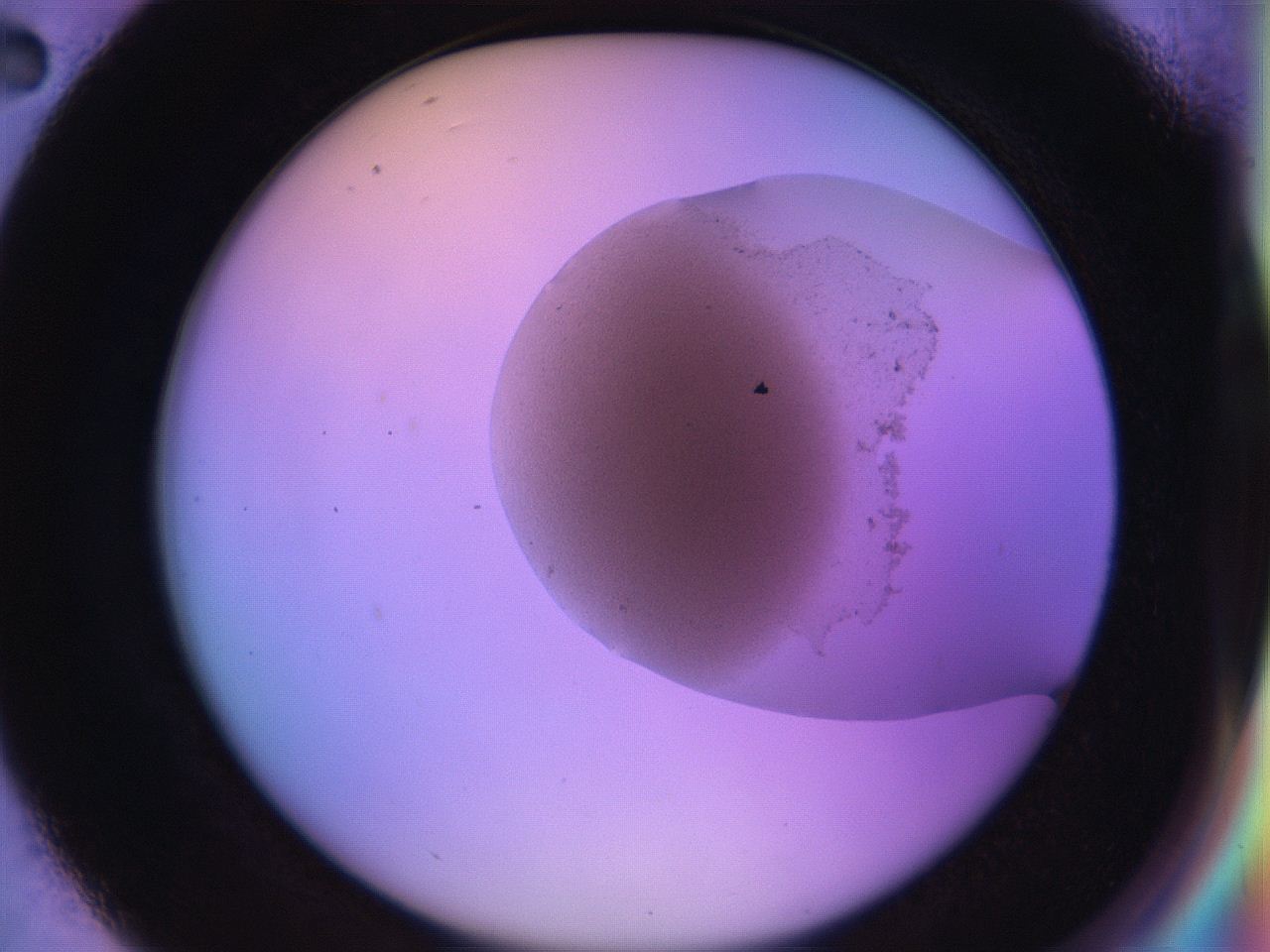 04uo_D2_ImagerDefaults_3.jpg