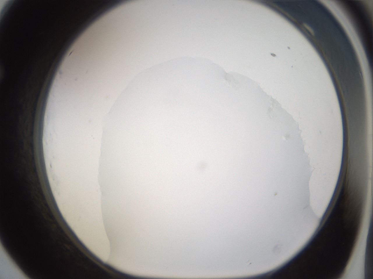 folderID265_plateID3265_batchID18543_wellNum69_profileID1_d1_r287831_ef.jpg
