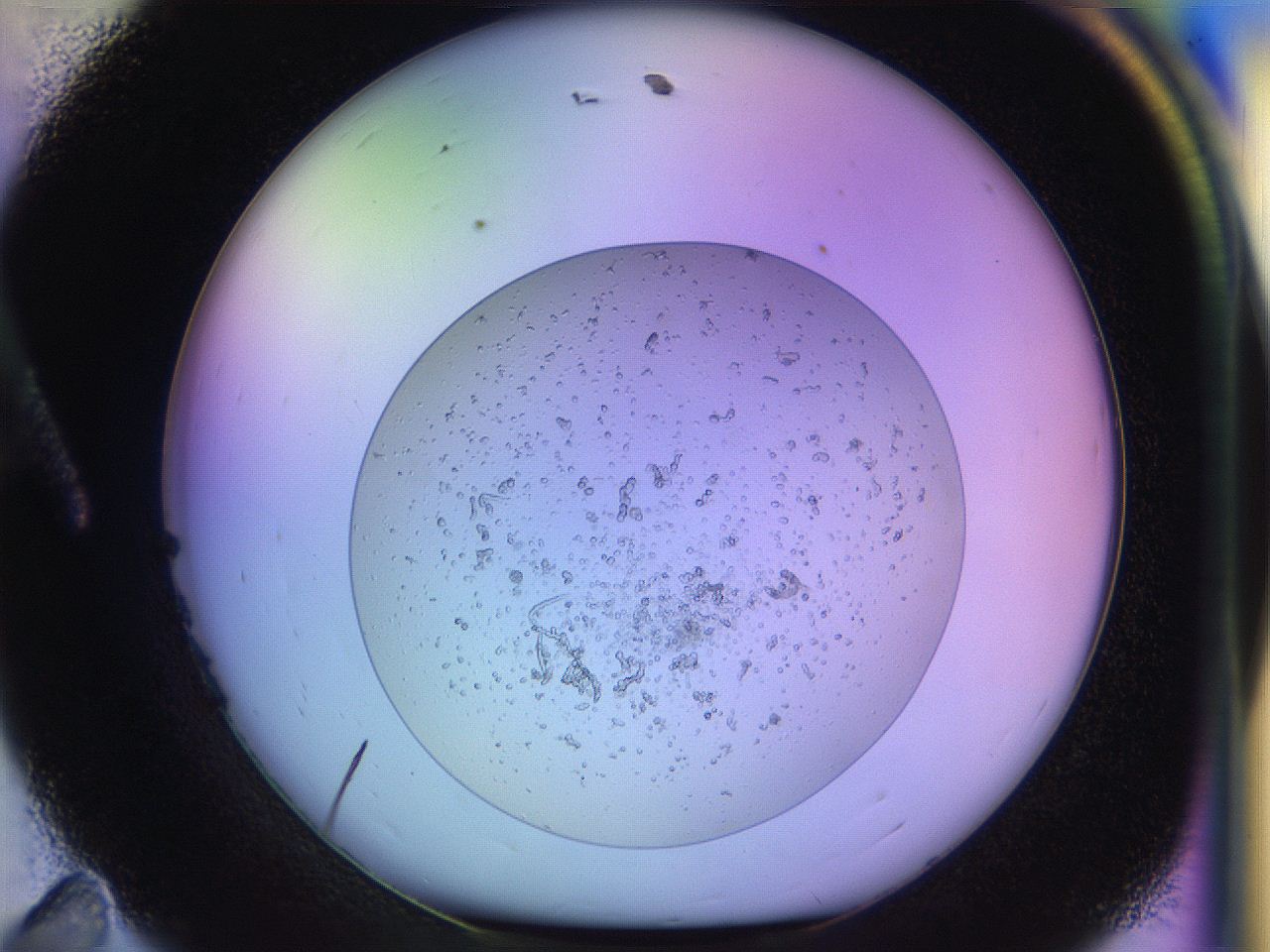 04uo_A11_ImagerDefaults_3.jpg