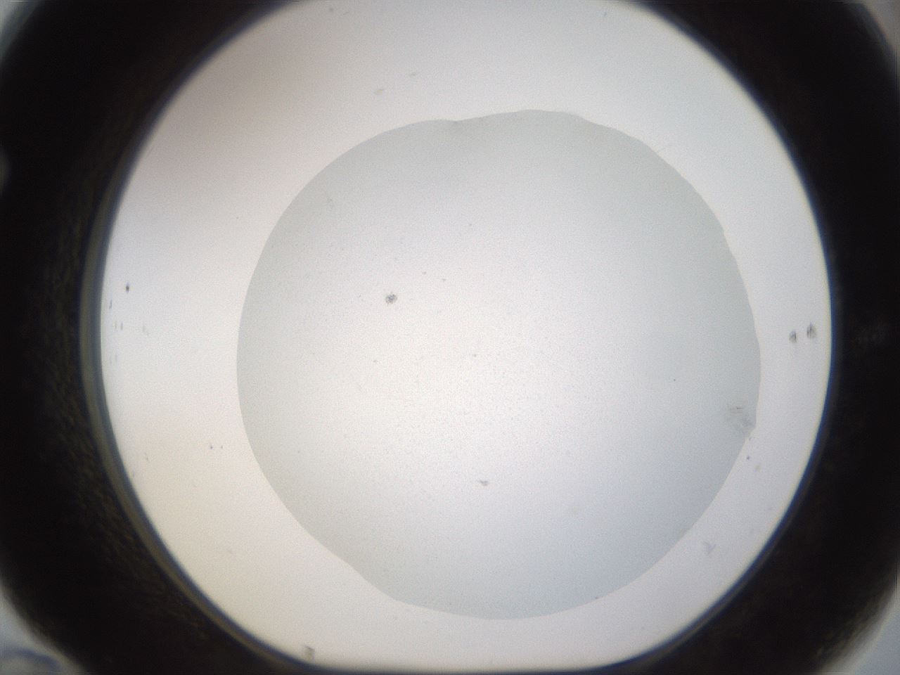folderID265_plateID3265_batchID18865_wellNum70_profileID1_d1_r287833_ef.jpg
