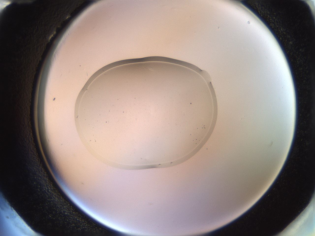 folderID265_plateID3265_batchID19291_wellNum96_profileID1_d2_r287886_ef.jpg