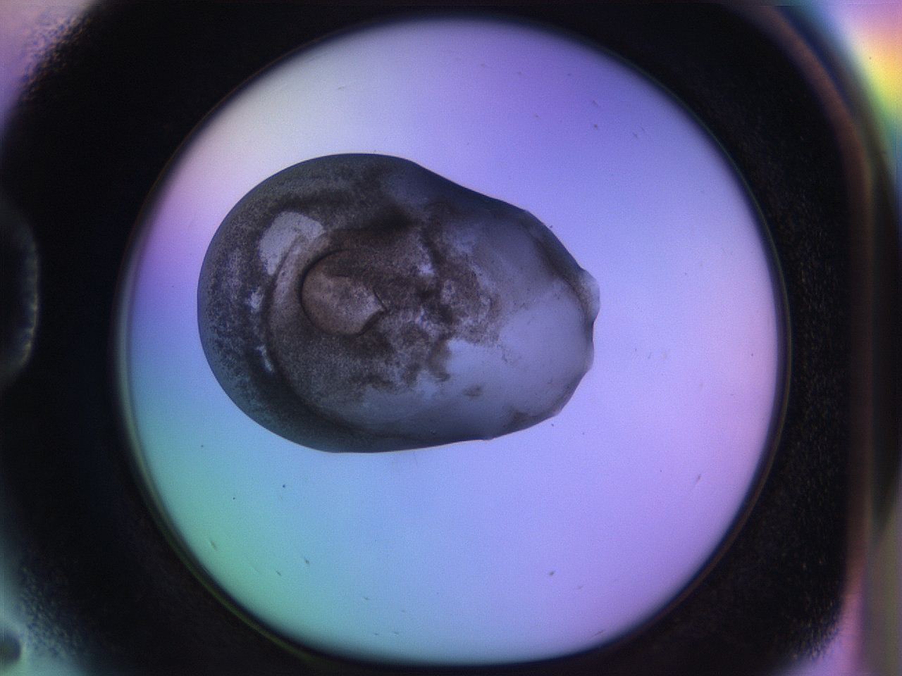 04uo_D5_ImagerDefaults_3.jpg