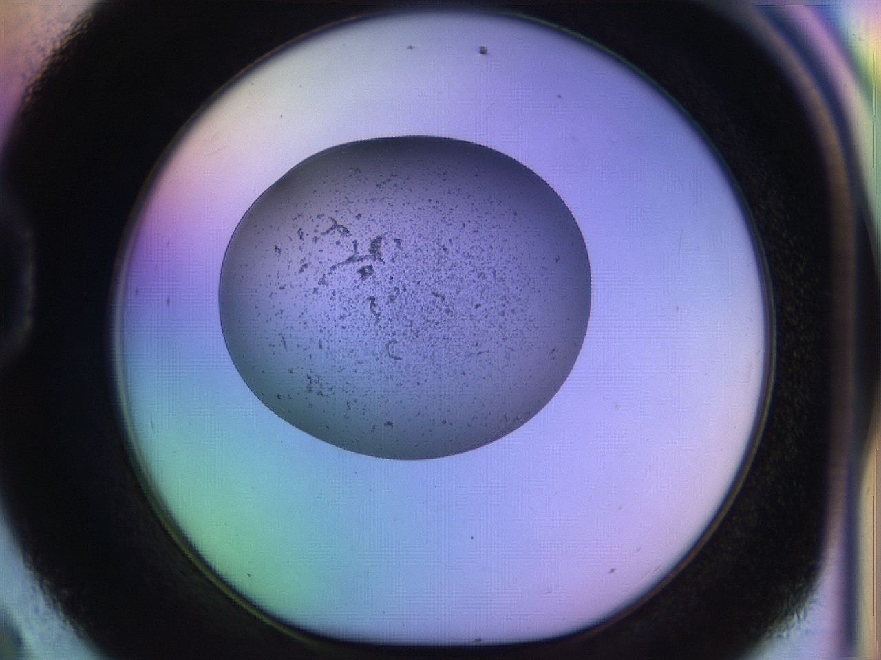 04uo_D9_ImagerDefaults_3.jpg