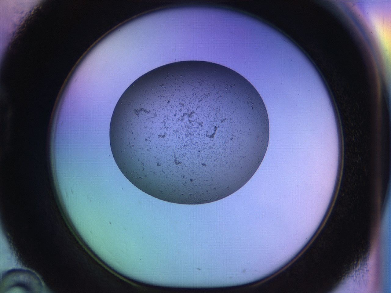 04uo_D10_ImagerDefaults_3.jpg