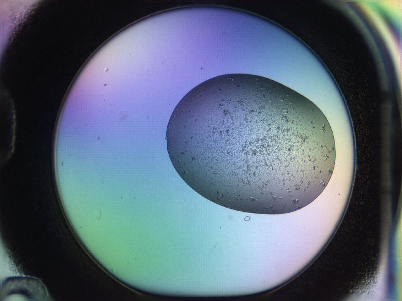 04uo_D12_ImagerDefaults_9.jpg