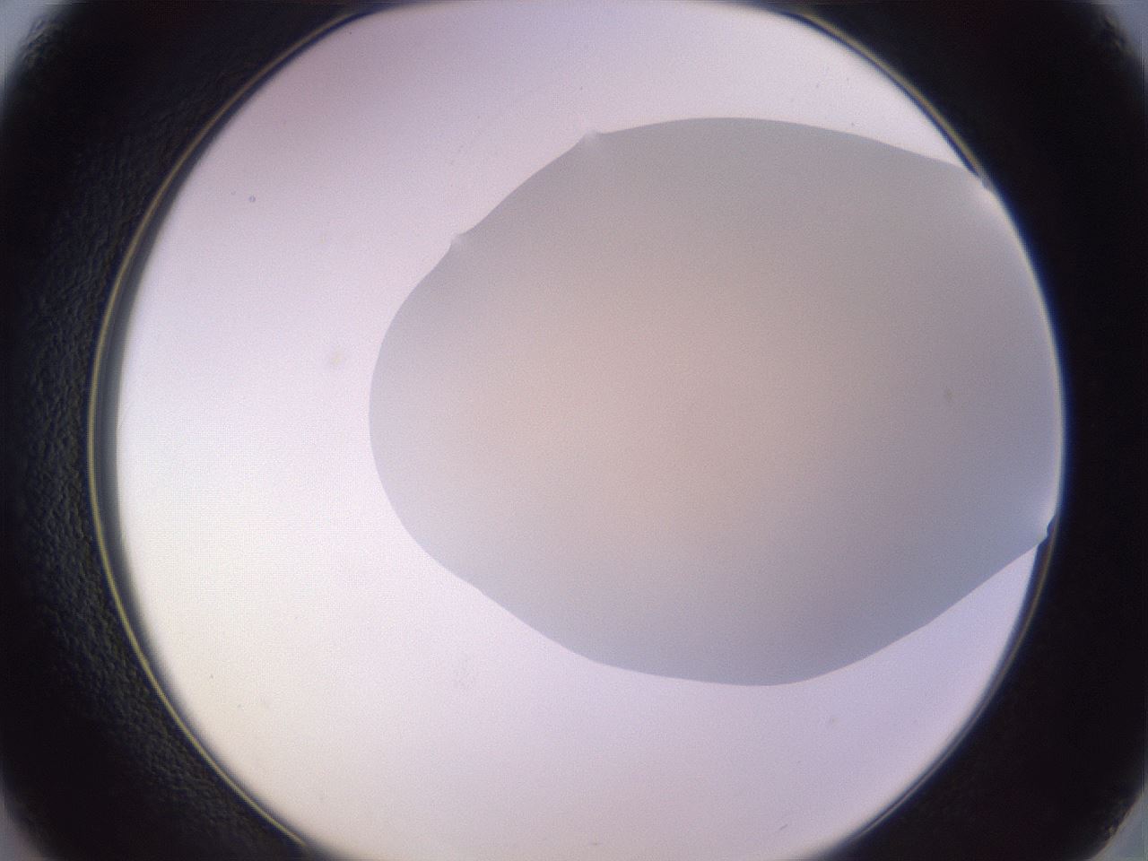folderID266_plateID3266_batchID19011_wellNum37_profileID1_d2_r287576_ef.jpg