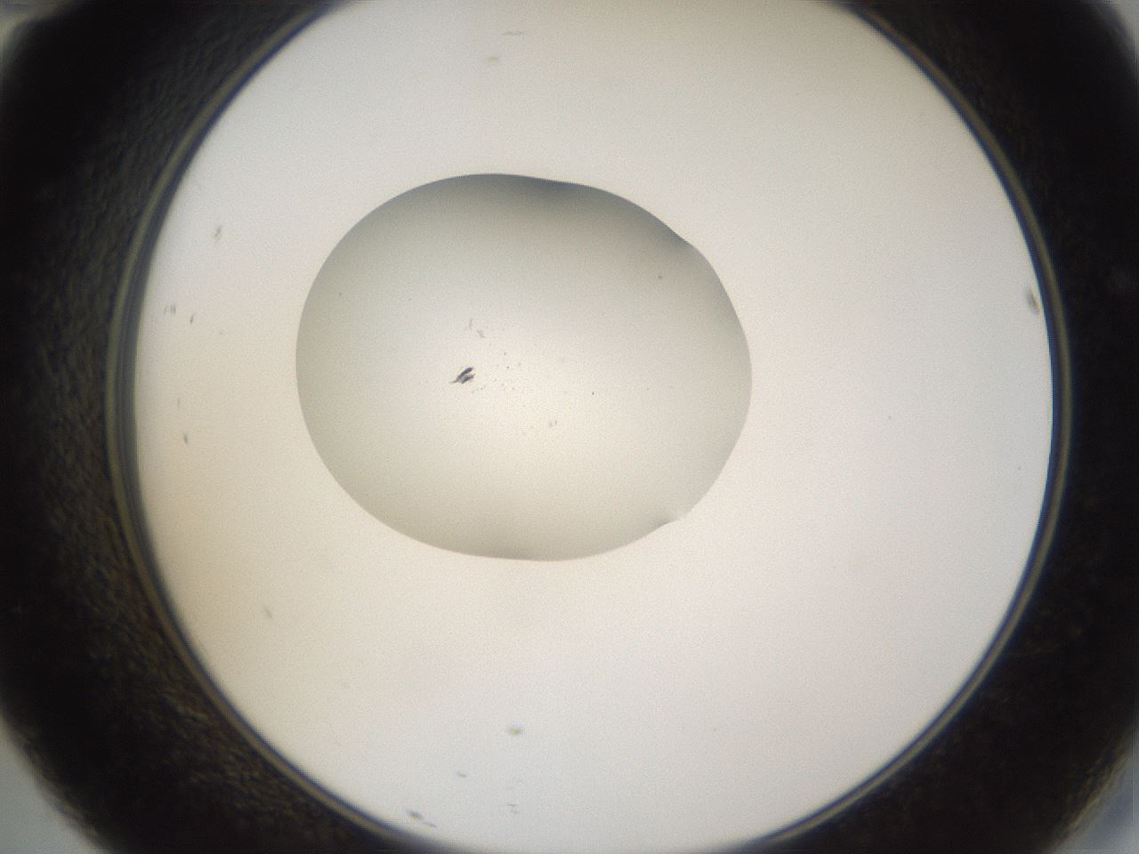 folderID267_plateID3267_batchID18596_wellNum46_profileID1_d2_r286826_ef.jpg