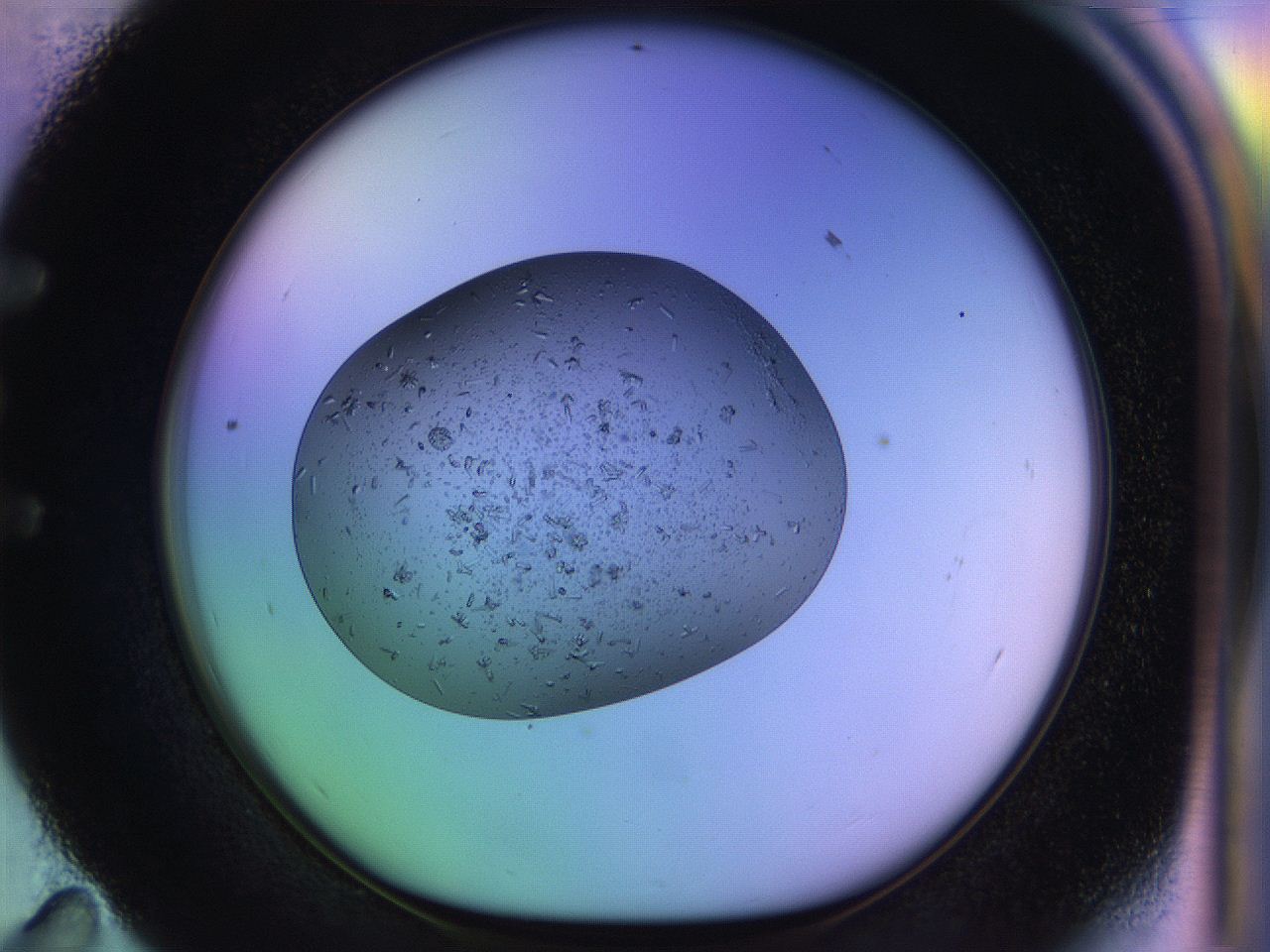 04uo_E11_ImagerDefaults_9.jpg