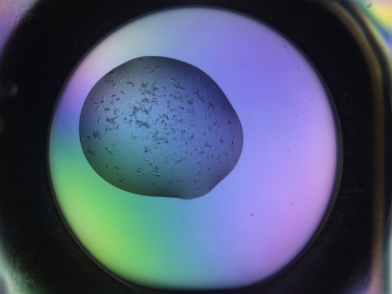 04uo_F4_ImagerDefaults_9.jpg